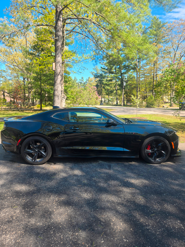 New School Muscle. $45,000 OR B.O in Cars & Trucks in Barrie - Image 4