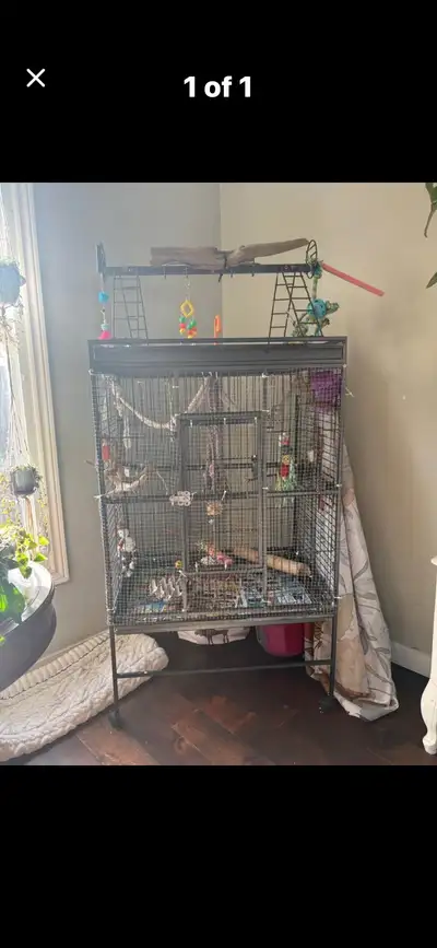 XL bird cage with toys and travel cage, View more