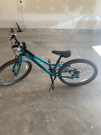 Two ladies bike in excellent condition