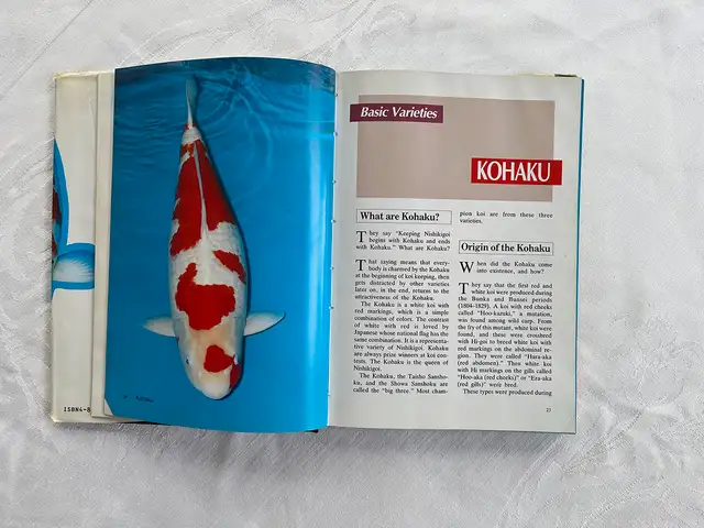Modern Nishikigoi – Hardcover by Takeo Kuroki in Other in City of Toronto - Image 4