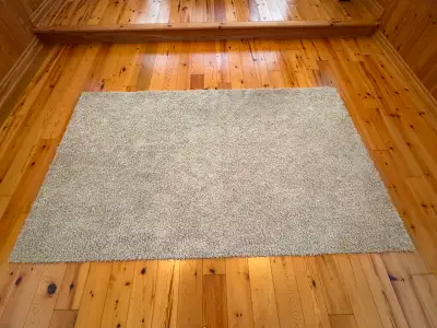 Shag carpet - professionally cleaned, View more