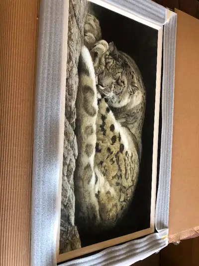 Sleeping Snow Leopard 83/100 Framed and signed Rare version Will too negotiate