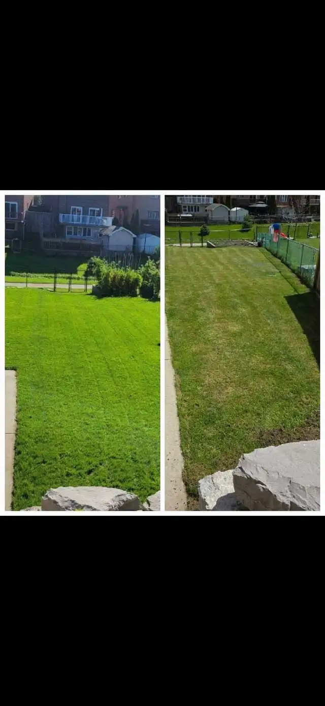 aeration dethatching/power raking instant pricing garden cleanup in Lawn, Tree Maintenance & Eavestrough in Mississauga / Peel Region - Image 5