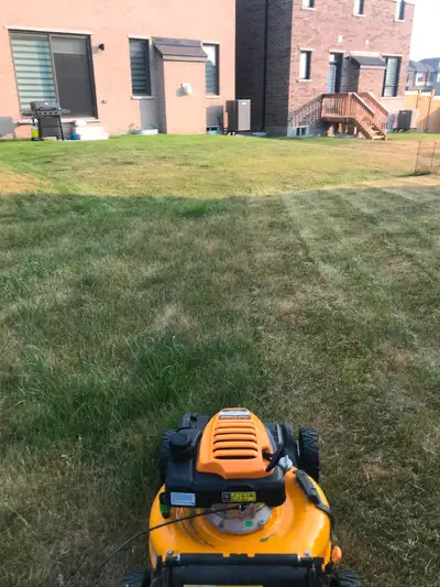 Supreme Lawn Care, View more