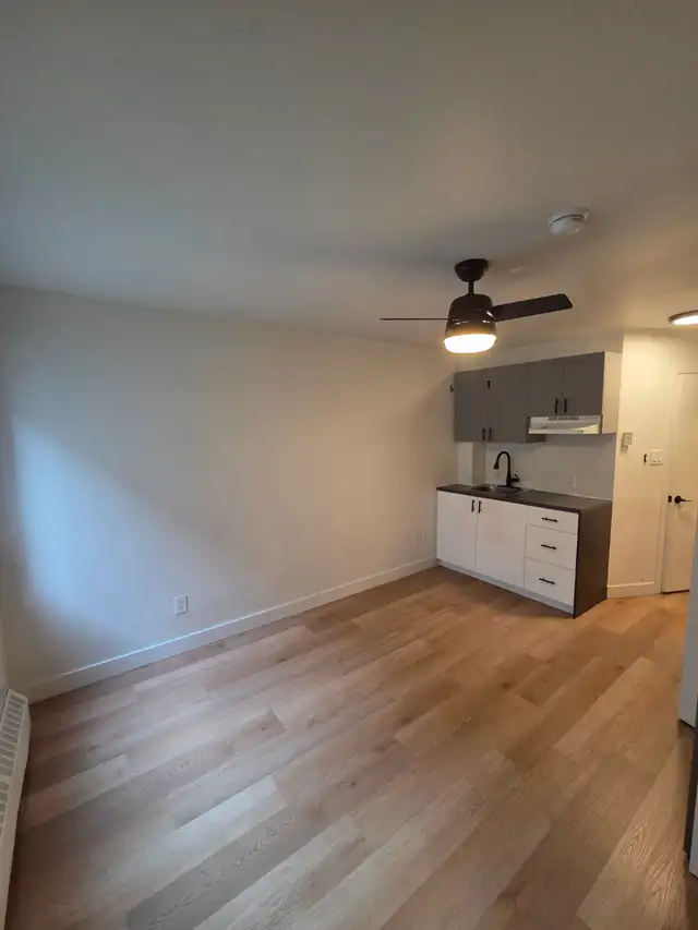 Newly Renovated Studio - Saint-Laurent