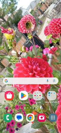 Looking for help