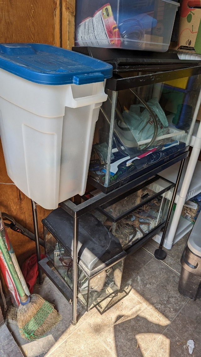 5, 10, & 20 gallon fish tanks with supplies Other Winnipeg Kijiji