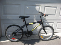 6 speed 20" Triumph by Raleigh bike is in a new condition.
