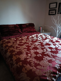 Comforter, curtains and accessories