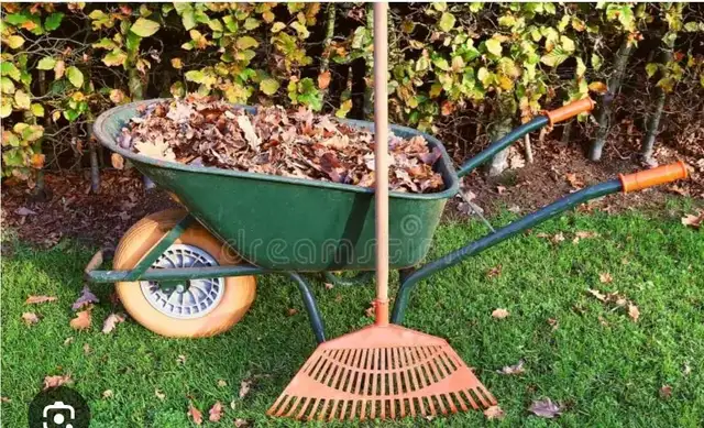 Leaf raking / Yard Cleaning442863330379714560
