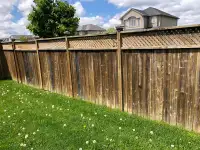 Fence boards for sale