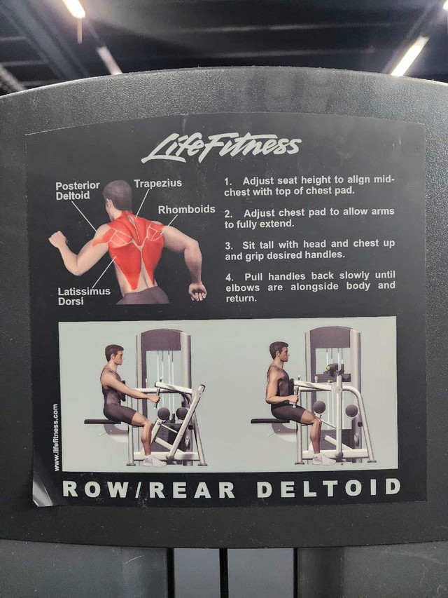 Seated Row/rear Delt Row in Exercise Equipment in Sault Ste. Marie - Image 4