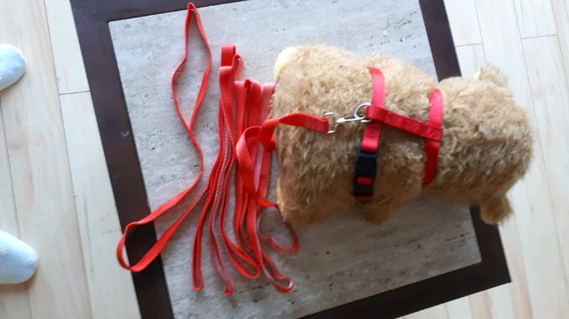 Red “Ruffin’it” Step-In fully Adjustable Harness & long Leash. in Accessories in Prince Albert - Image 2