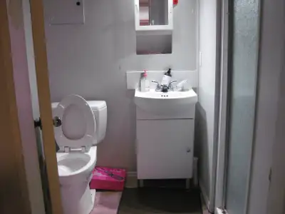 Nice basement suite on south side