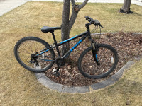 Trek mountain bike for kids 