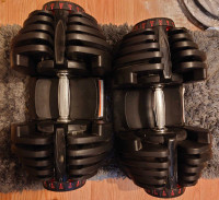 Adjustable Dumbbells 10lbs To 90lbs