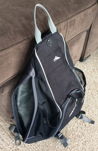 High Sierra Adult Backpack