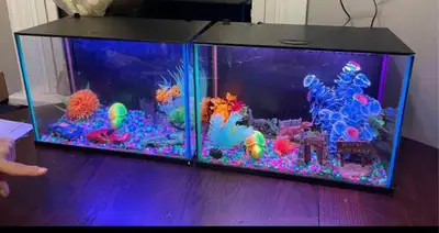 2x 5gal Top Fin fish tanks with 7 LED coloring changing light. $100 for both or $50 each Selling as...