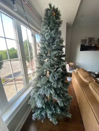 Christmas tree for sale, View more