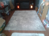 2 Area Rugs 5' x 7'