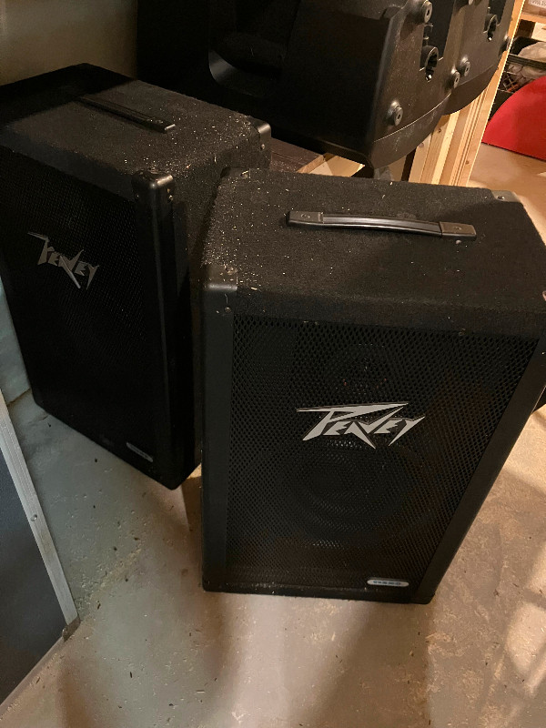 Peavey 12" Passive PA Speakers for sale in Pro Audio & Recording Equipment in Gatineau - Image 2