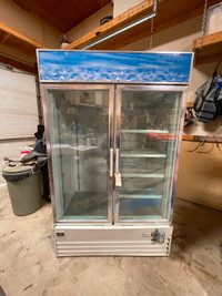 Kelvinator 2 Door Freezer