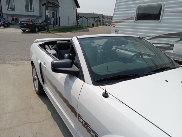 2009 Mustang GT California Special Convertible in Cars & Trucks in Red Deer - Image 4