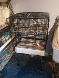 Grande cage pour oiseaux 