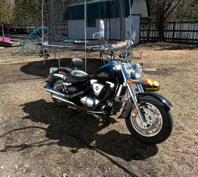 Runs excellent Vance & Hines pipes