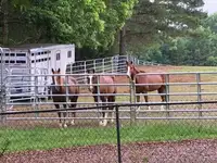 Round pen*corral panels*fence panels*horse panels