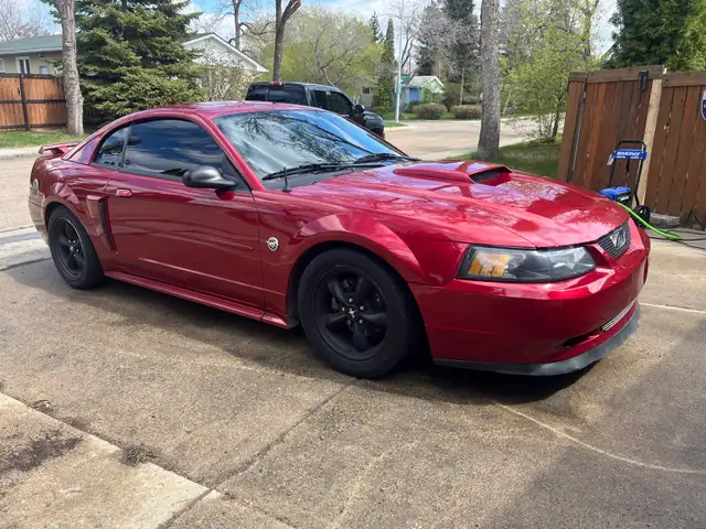 2004 Mustang GT
