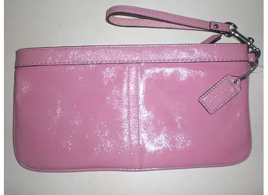 Small Coach Bags / ETC - $15 - $90 Each - Authentic in Women's - Bags & Wallets in City of Toronto - Image 2