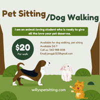 Pet sitting/Dog Walking Barrhaven