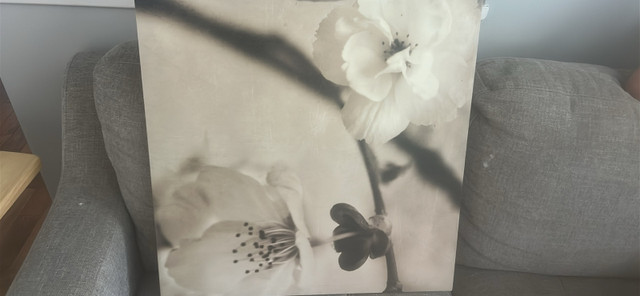 Canvas  Pictures  in Arts & Collectibles in Cambridge - Image 3