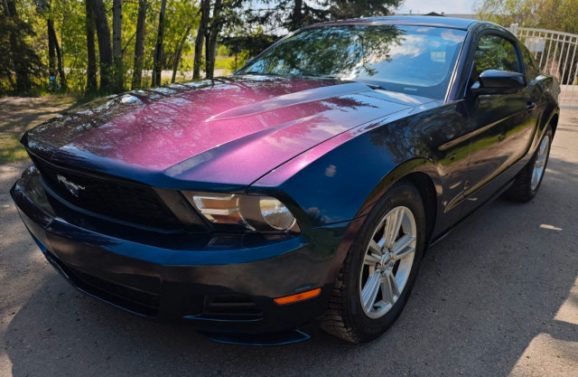 Ford Mustang 2012 3.7L in Cars & Trucks in St. Albert