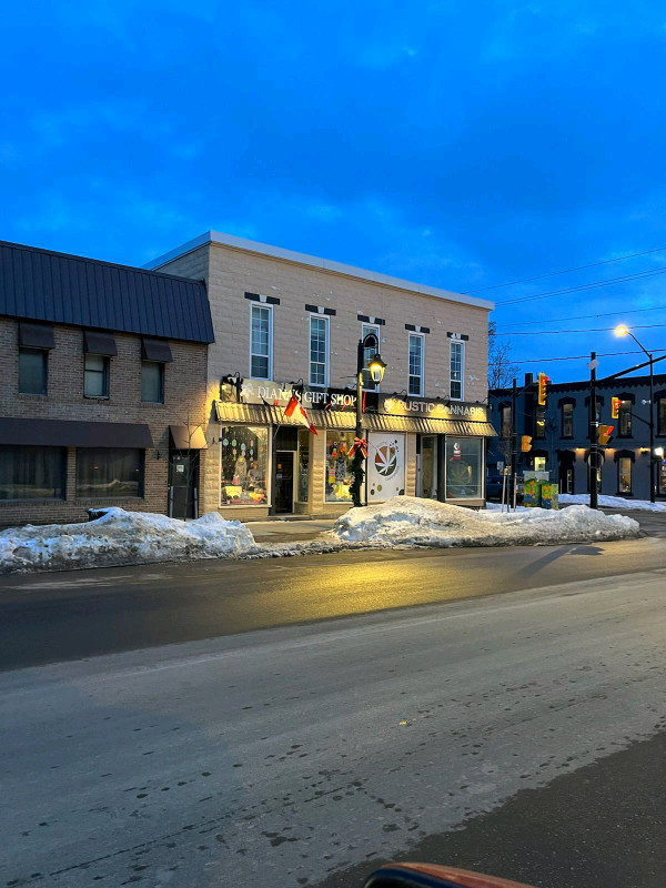 8 Unit Mixed Use Commercial Residential for Sale, Fenelon Falls, in Commercial & Office Space for Sale in Kawartha Lakes