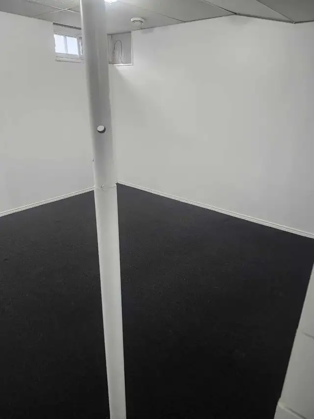 Working female only.  Large room in Basement for Rent in Room Rentals & Roommates in Ottawa - Image 4