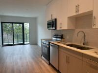 Brand New 1 Bed Condo For Lease