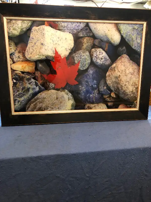 Picture64985460660865120