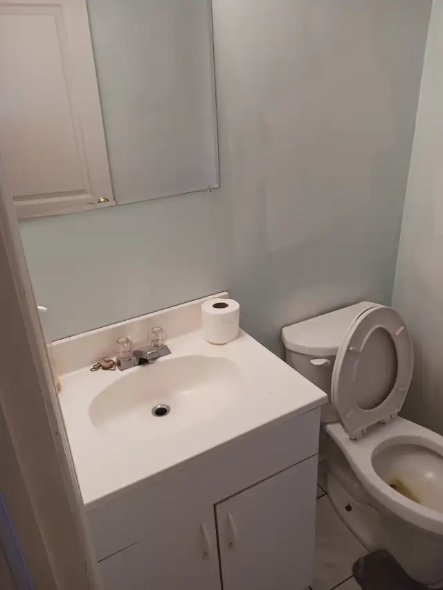 Room for rent in Scarborough home in Room Rentals & Roommates in Oshawa / Durham Region - Image 4