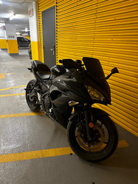 Kawasaki Ninja 650 ABS Akrapovic 2019