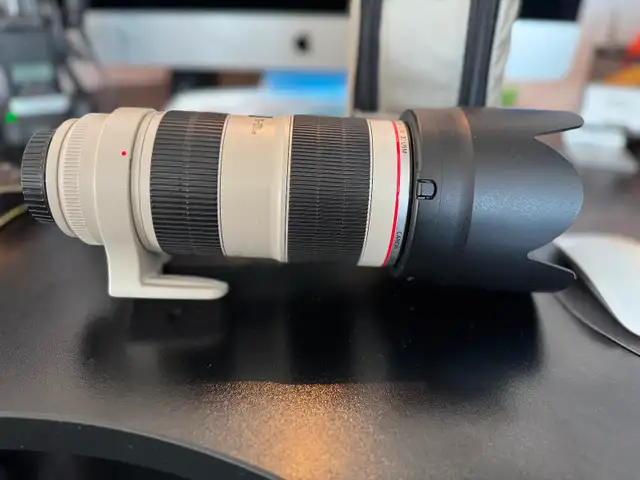 Canon 70-200mm 2.8F Telephoto lens.62863736239875122