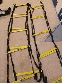 360 Workout Ladders and Resistance Belt