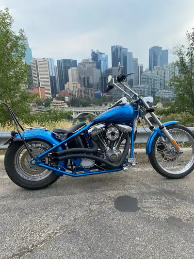 Up for sale is this custom hard-tail bobber / chopper! It has an Evo 80 cu in motor, 5 speed transmi...