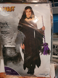 EUC Dark Witch Costume