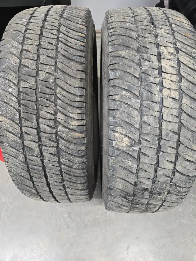 2 Michelin All Season Tires For Sale in Tires & Rims in Dartmouth - Image 4