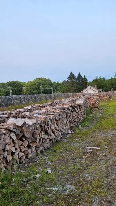 Bois de chauffage a vendre a 100$ la corde non livrer. De l'érable. Possibilité de livraison dépenda...