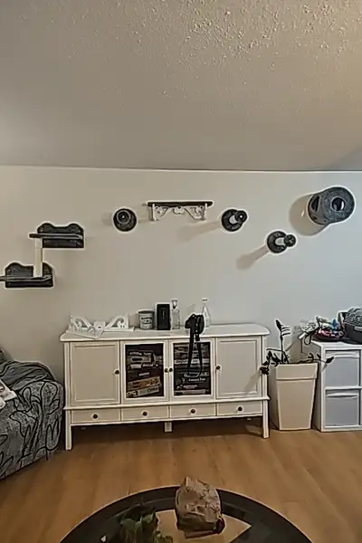 Mon fils et moi avons ouvert notre garderie familiale pour chats il y a plus de 4 ans, un espace ent...