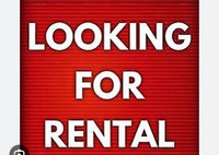 Looking to rent a 3 bedroom house 