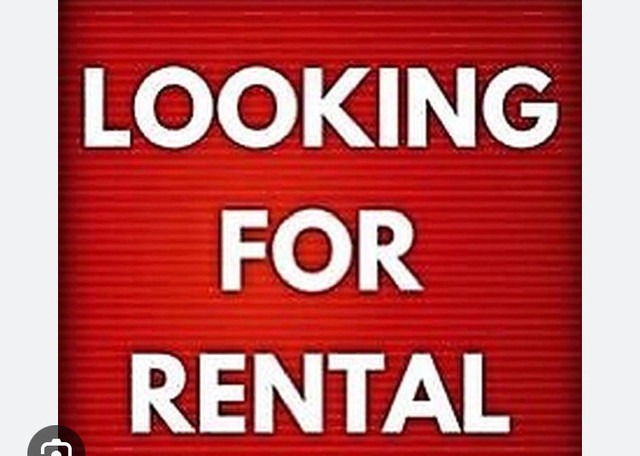 Looking to rent a 3 bedroom house  in Long Term Rentals in St. John's